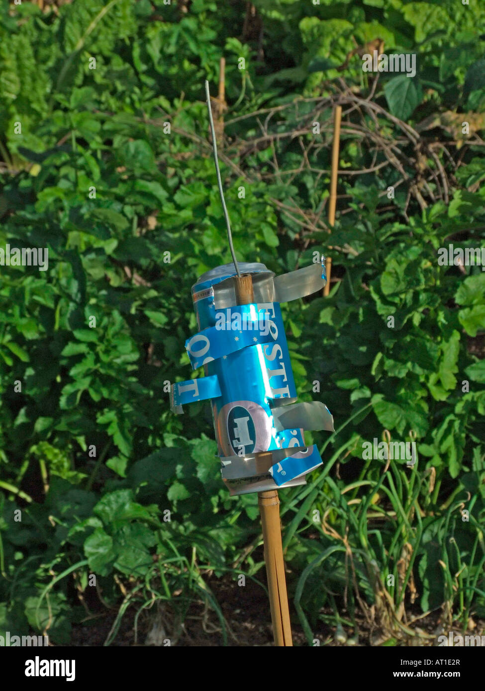 Garden bird scarer made out of an empty beer can Stock Photo