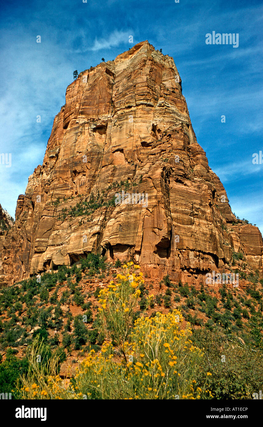 Angel's Landing, Zion National Park, near Parkville, Utah, USA Stock