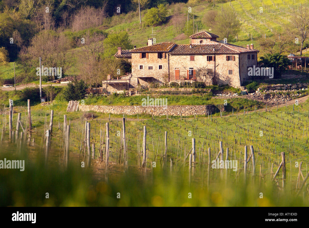 Italy, Tuscany, Greve, Poggio Asciutto, an Agriturismo bed and breakfast farm Stock Photo