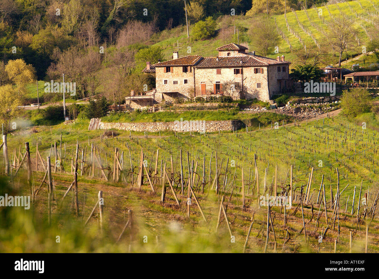 Italy, Tuscany, Greve, Poggio Asciutto, an Agriturismo bed and breakfast farm Stock Photo