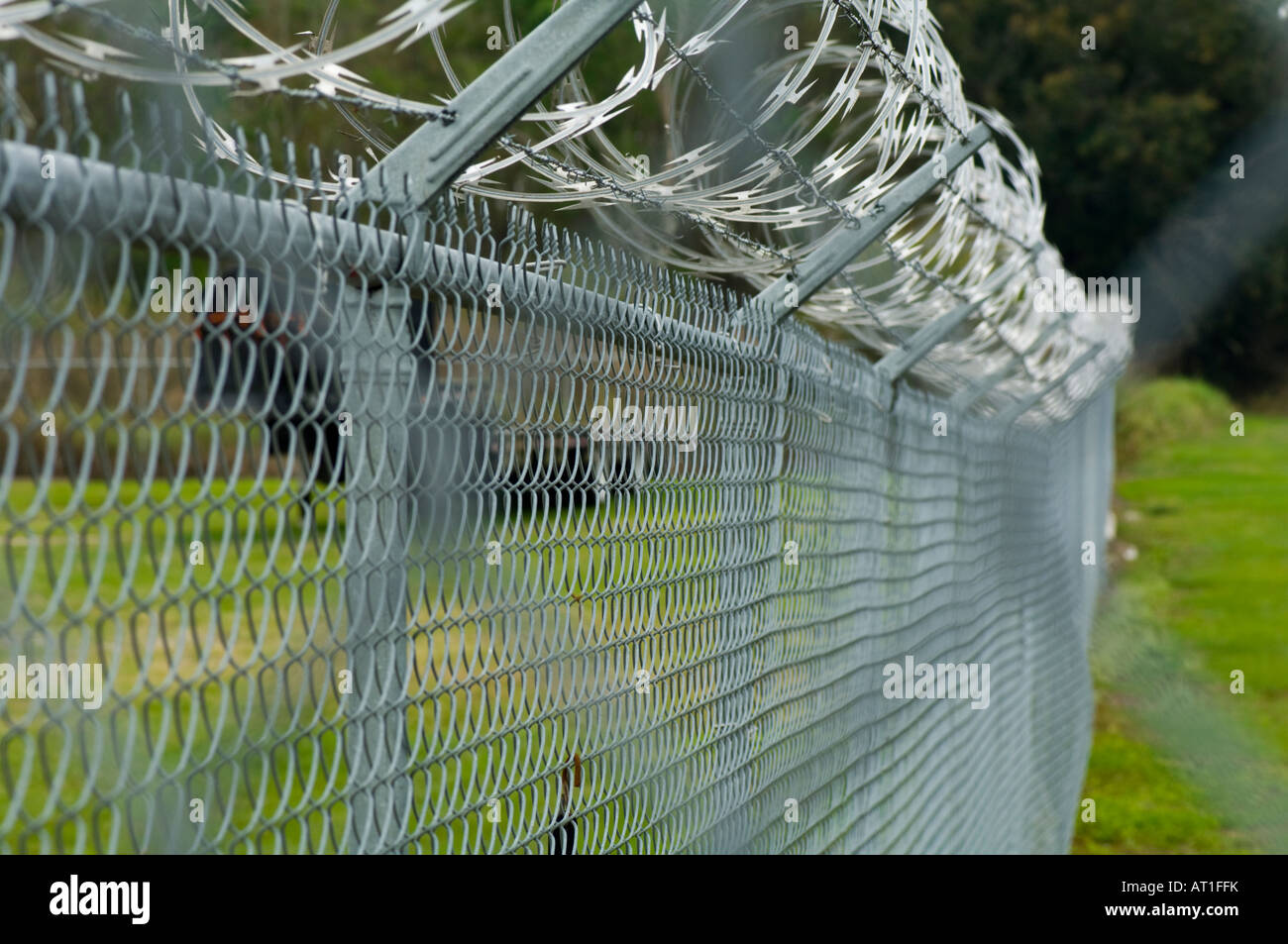 razor wire chain link fence at prison Stock Photo Alamy
