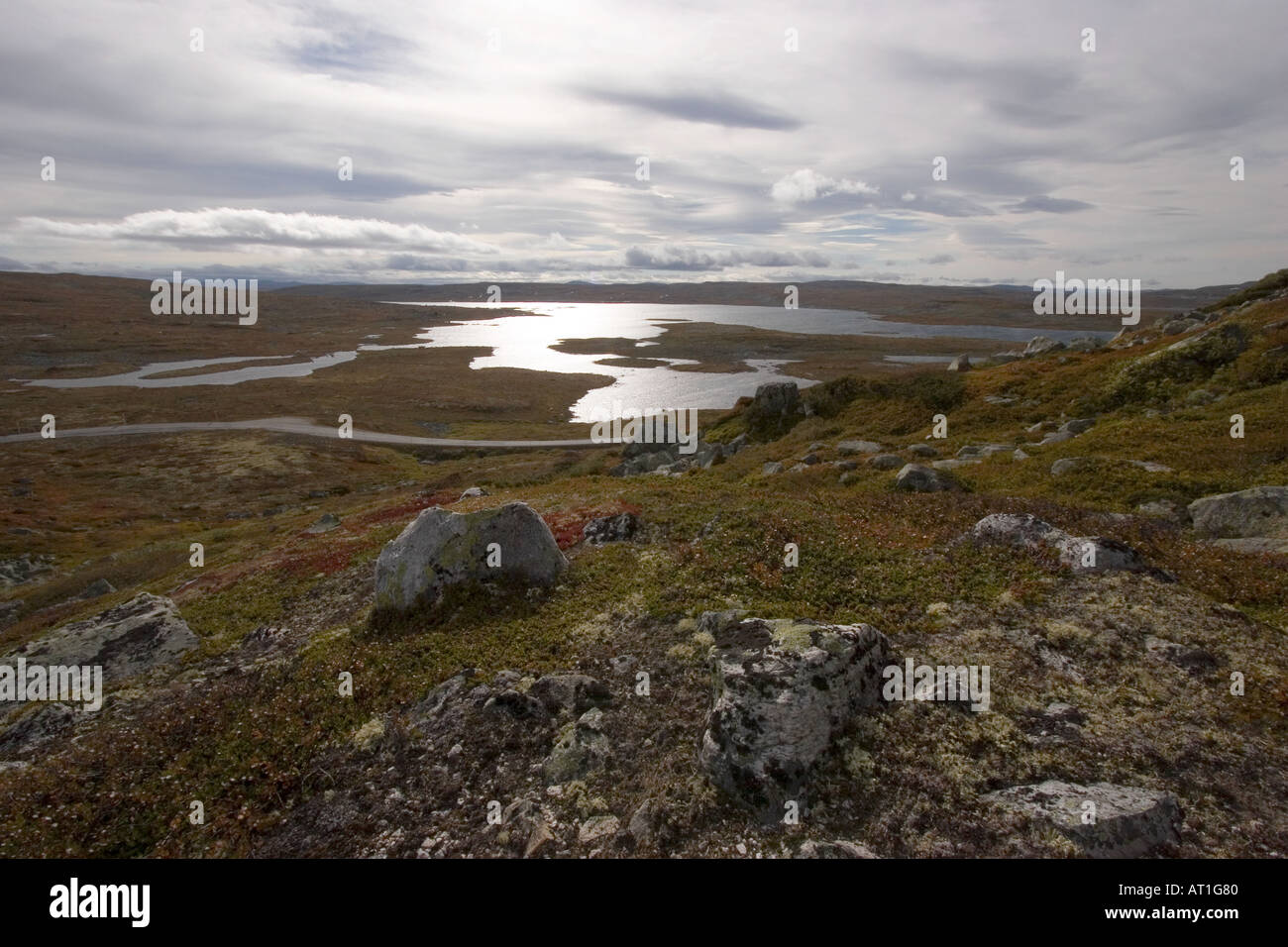 HARDANGERVIDDA PLATEAU visual data 4