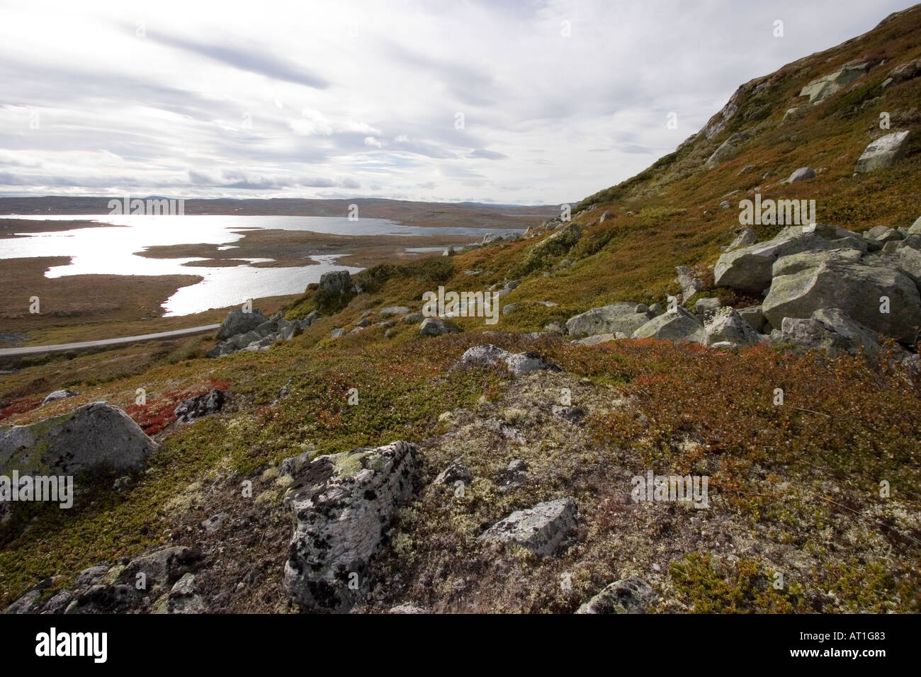 HARDANGERVIDDA PLATEAU visual data 7