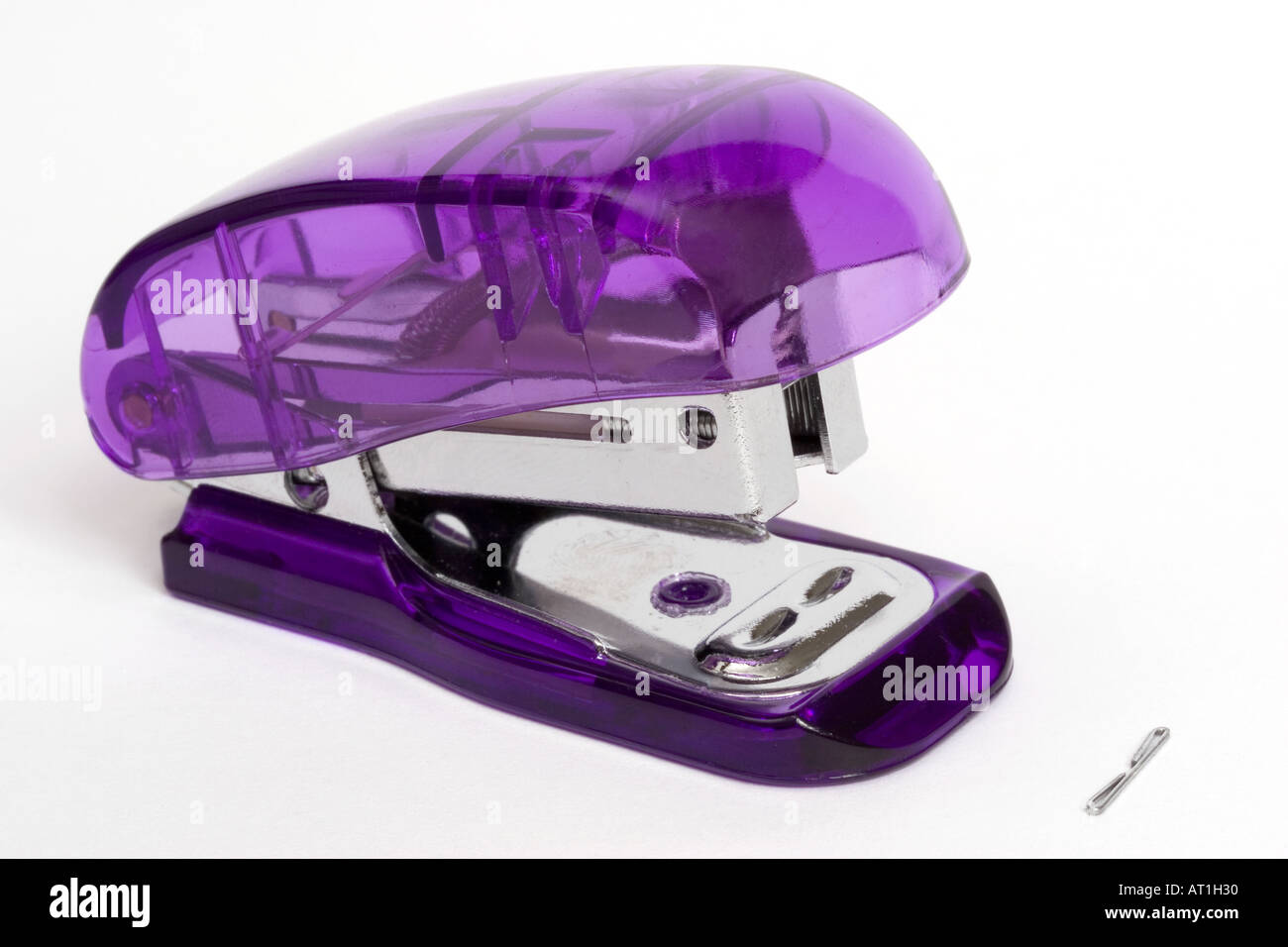 Stapler Stock Photo