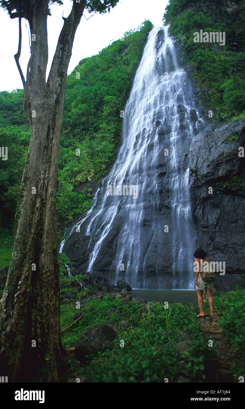 Waterfall Moorea French polynesia Stock Photo - Alamy