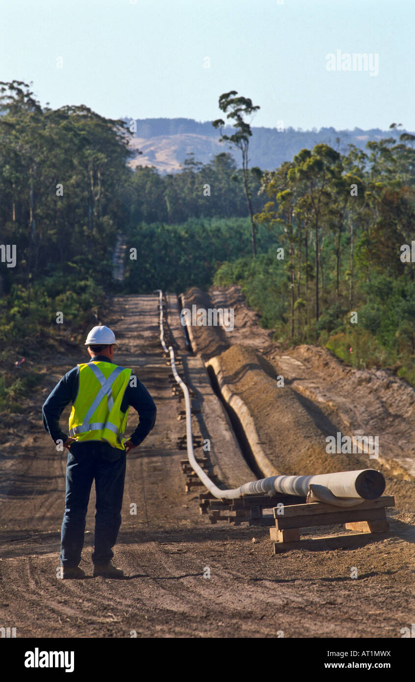 Laying gas pipeline Australia Stock Photo Alamy