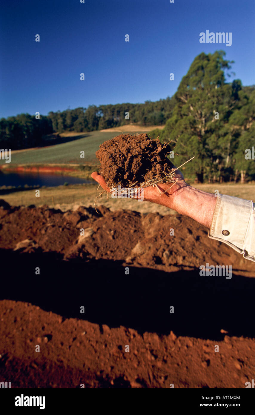 Laying gas pipeline Australia Stock Photo