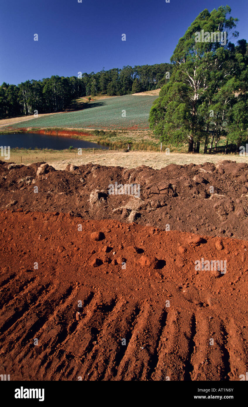 Rich volcanic fertile topsoil loam earth soil hires stock photography