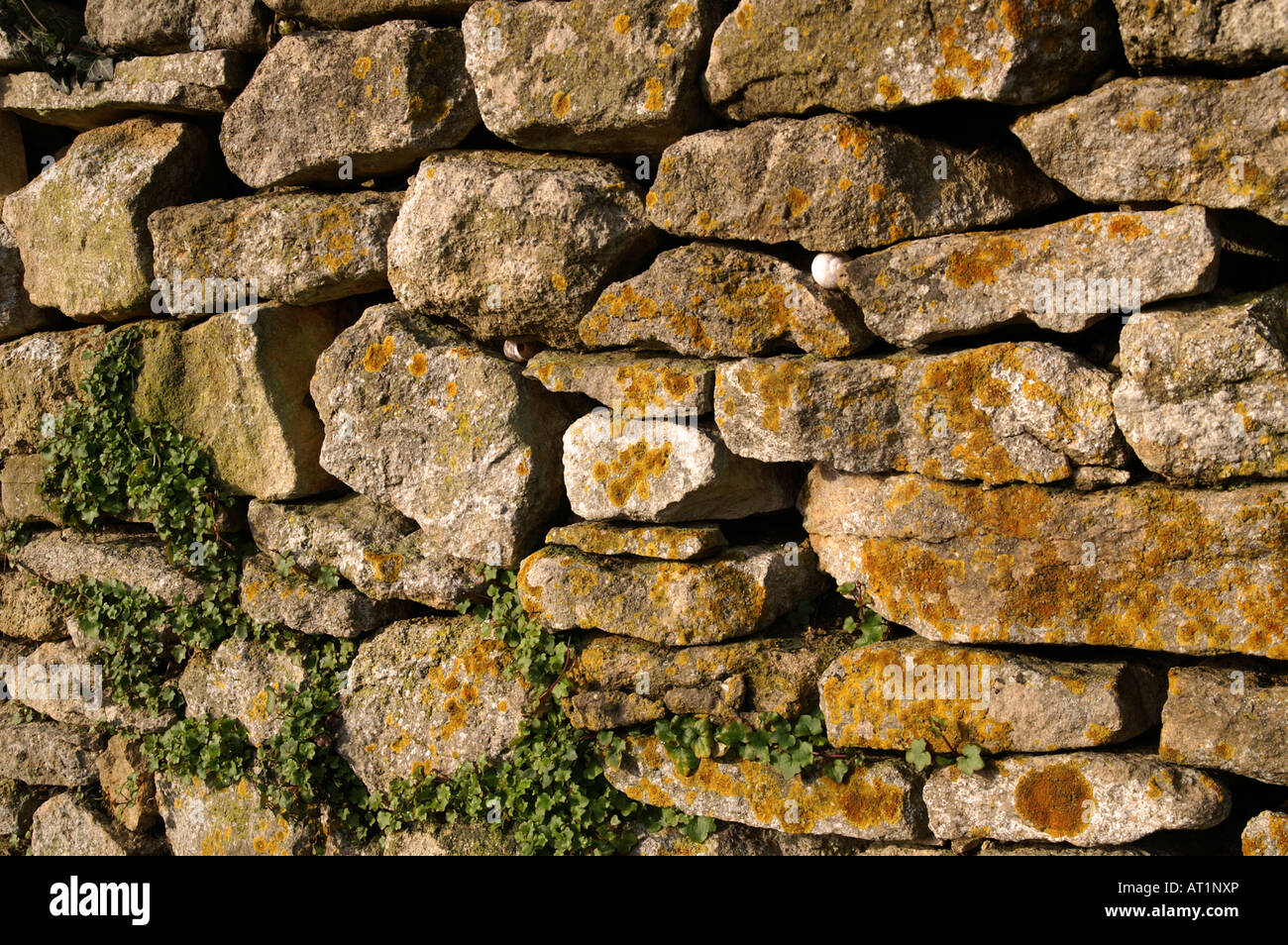 Cotswold Dry Stone wall Randwick Stock Photo