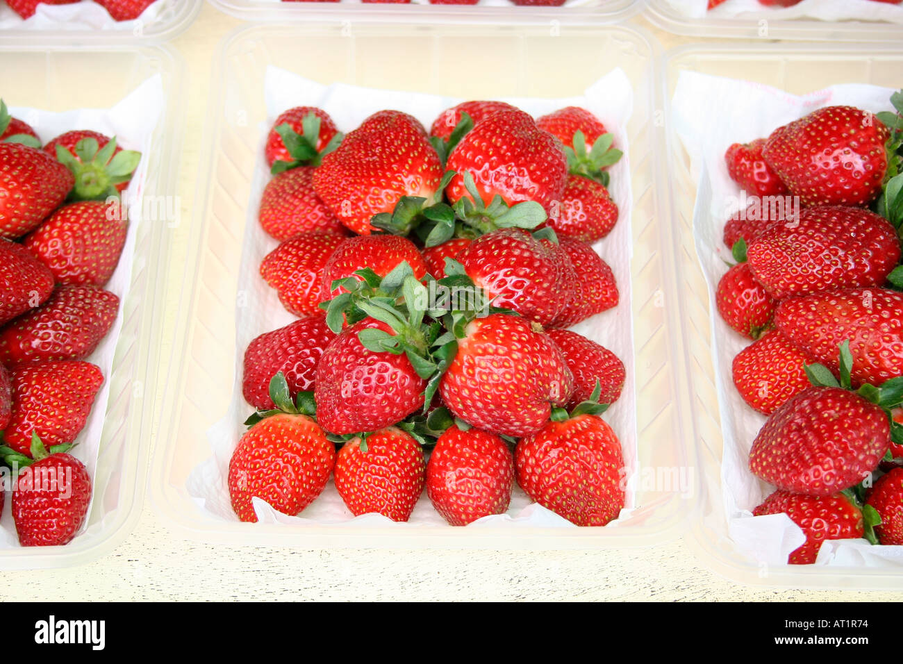 Cameron Highlands Malaysia strawberries locally grown Stock Photo