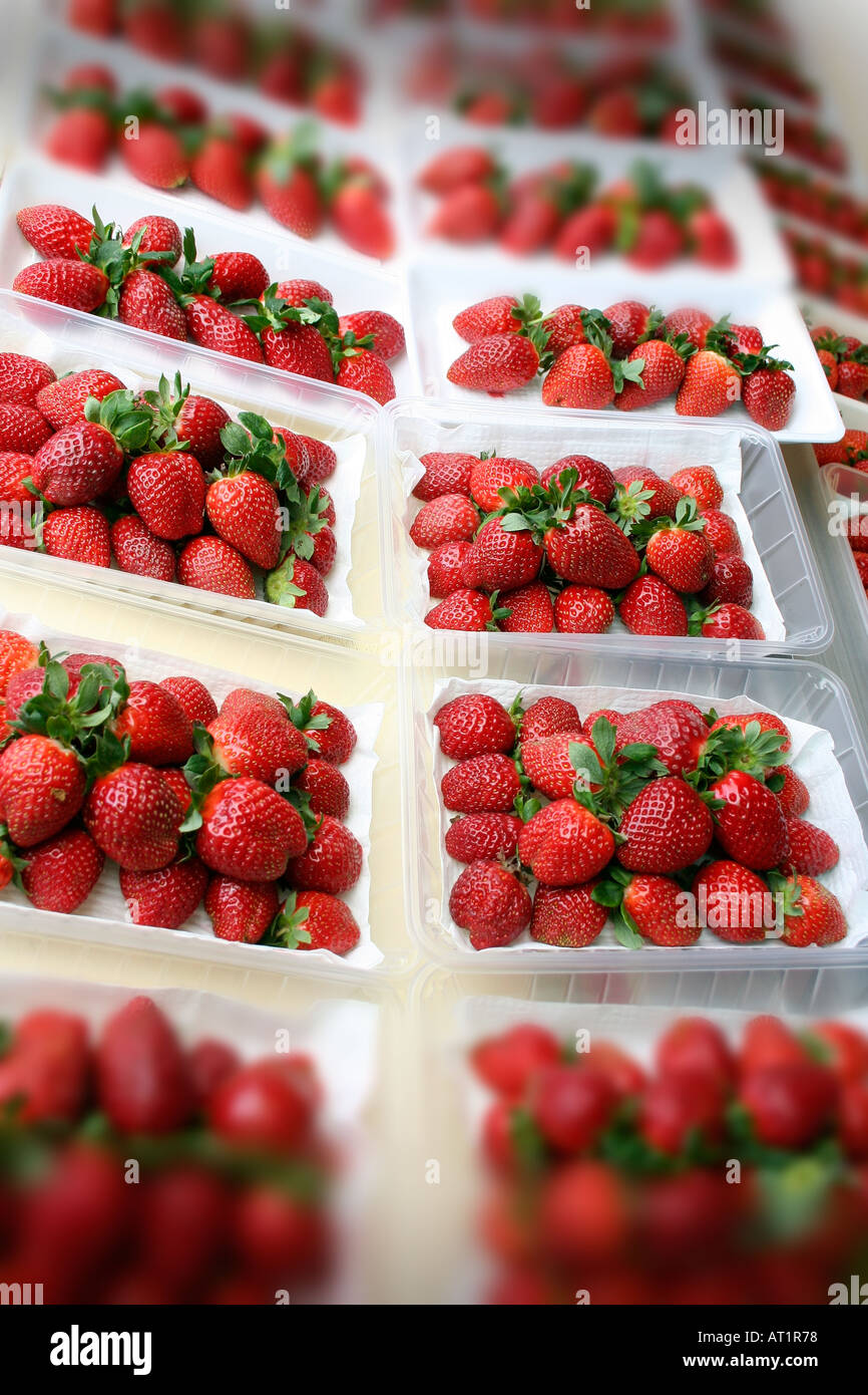 strawberries for sale Cameron Highlands, Malaysia Stock Photo
