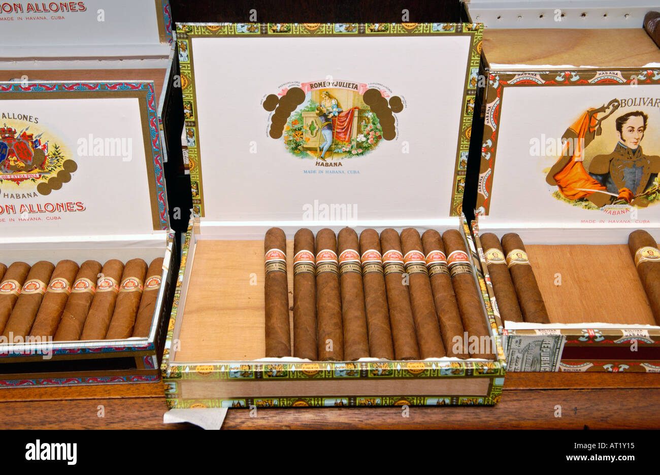 Bundles of cigars in the humidor room with constant humidity and