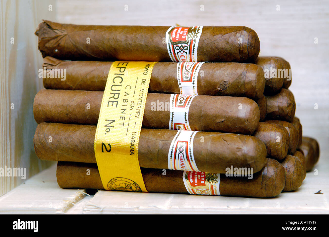 Bundles of cigars in the humidor room with constant humidity and