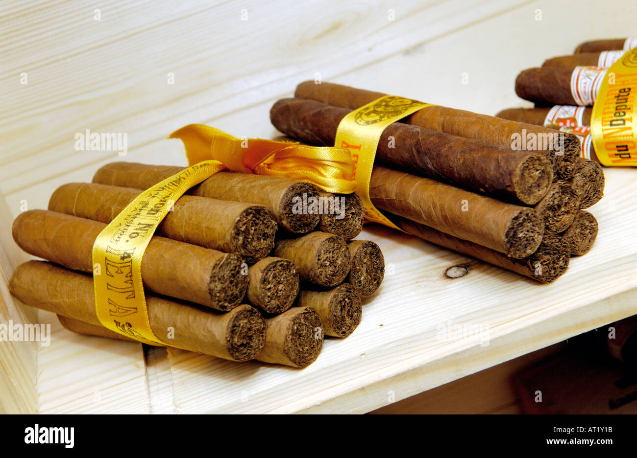 Bundles of cigars in the humidor room with constant humidity and