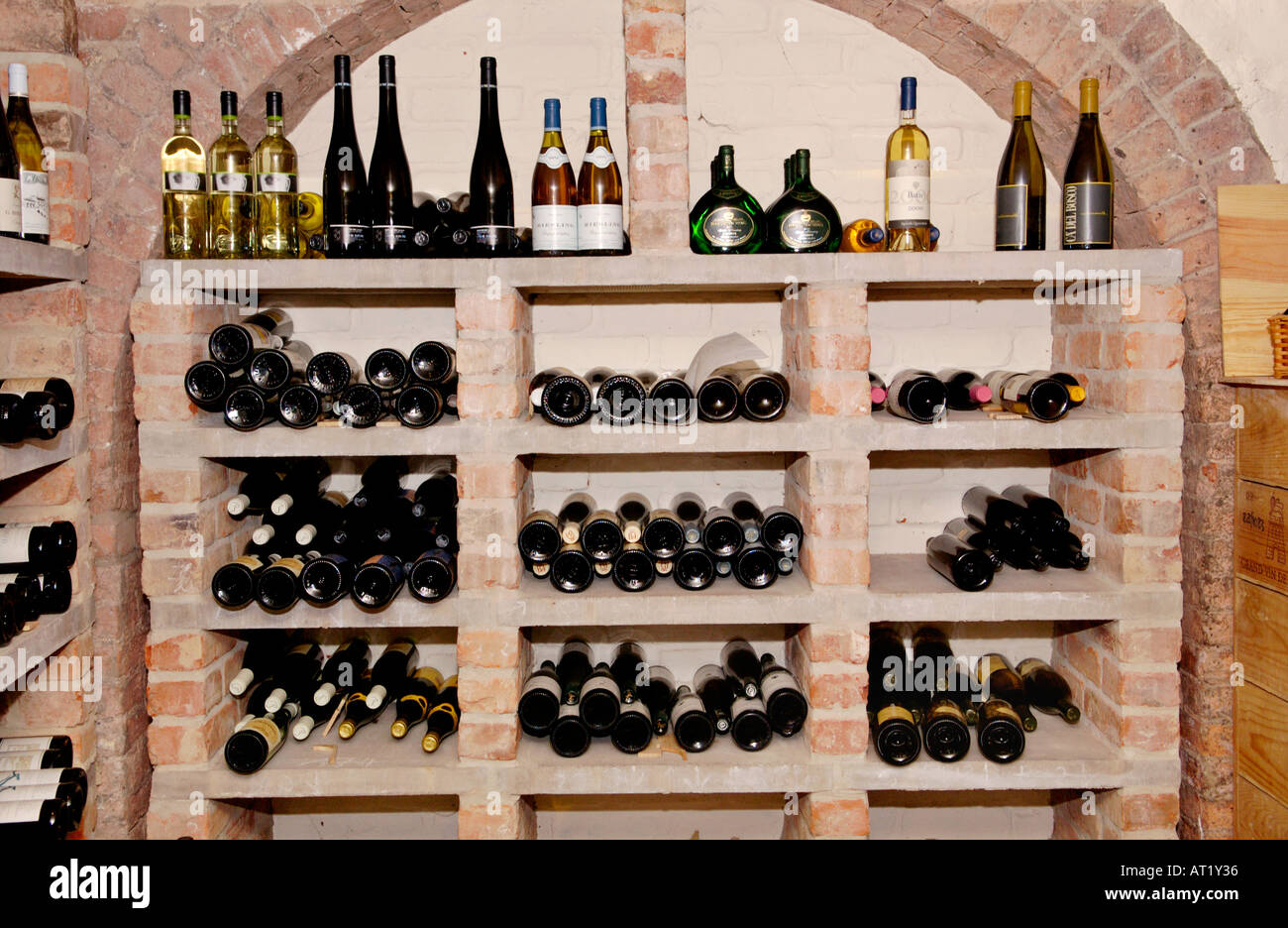 Wine cellar of Hotel du Vin Bristol England UK Stock Photo Alamy