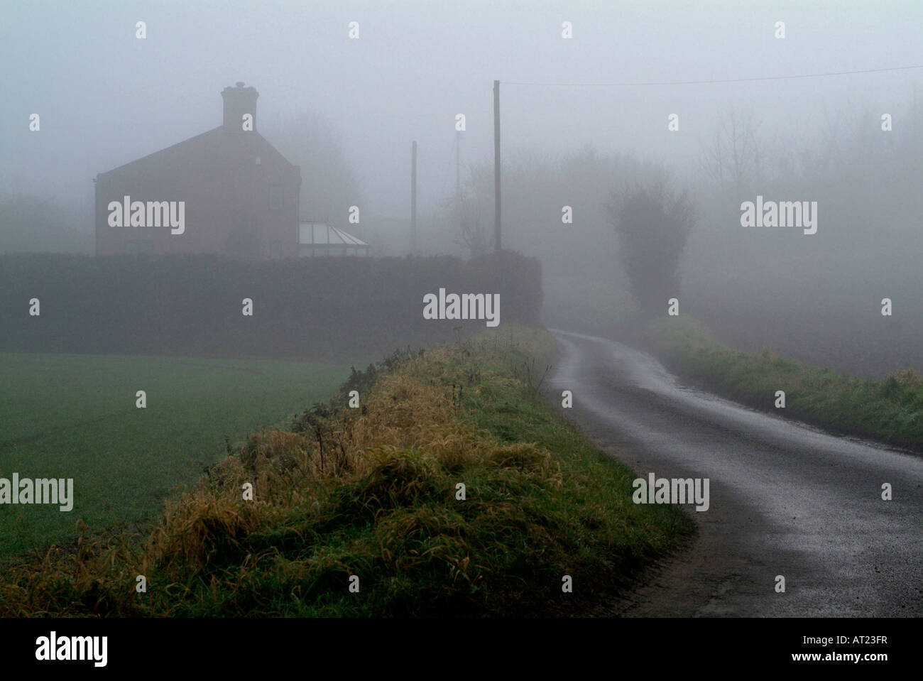 foggy country road and house at Mettingham Suffolk UK Stock Photo