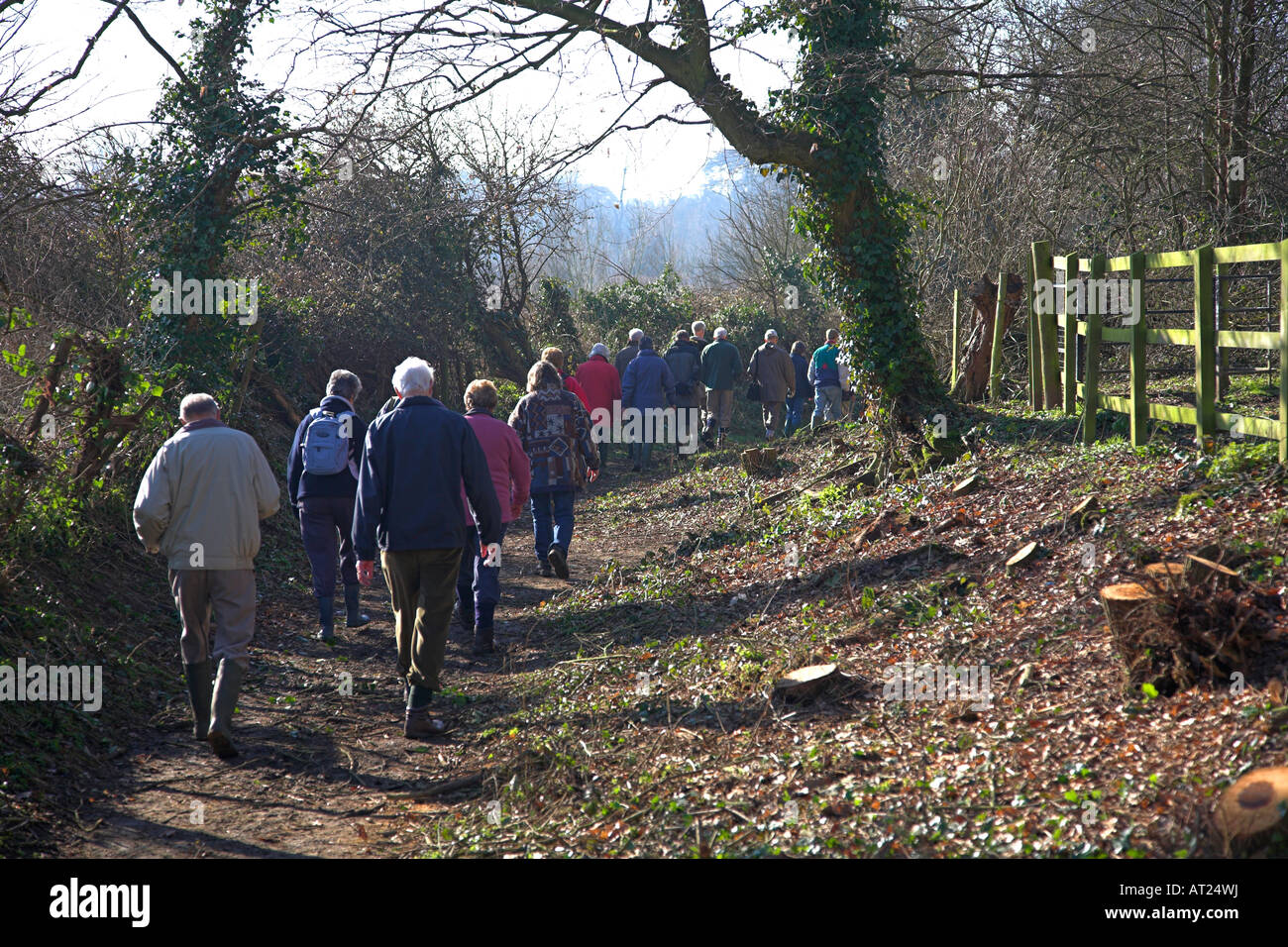 Group of pensioners walking through the Hertfordshire countryside. Stock Photo