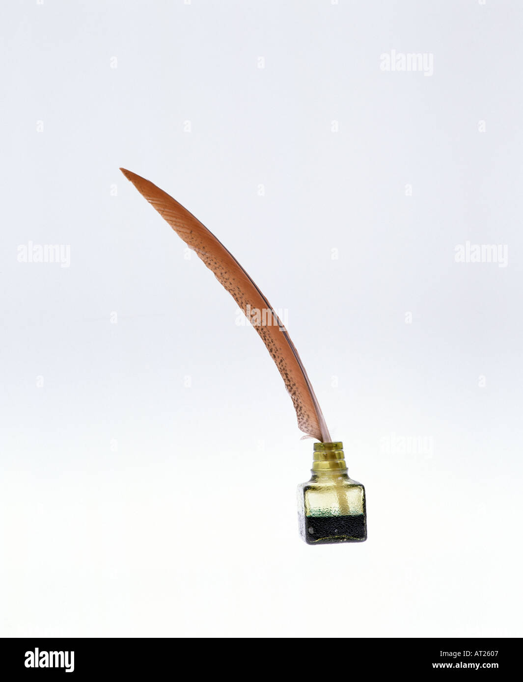 Quill pen in ink bottle Stock Photo Alamy
