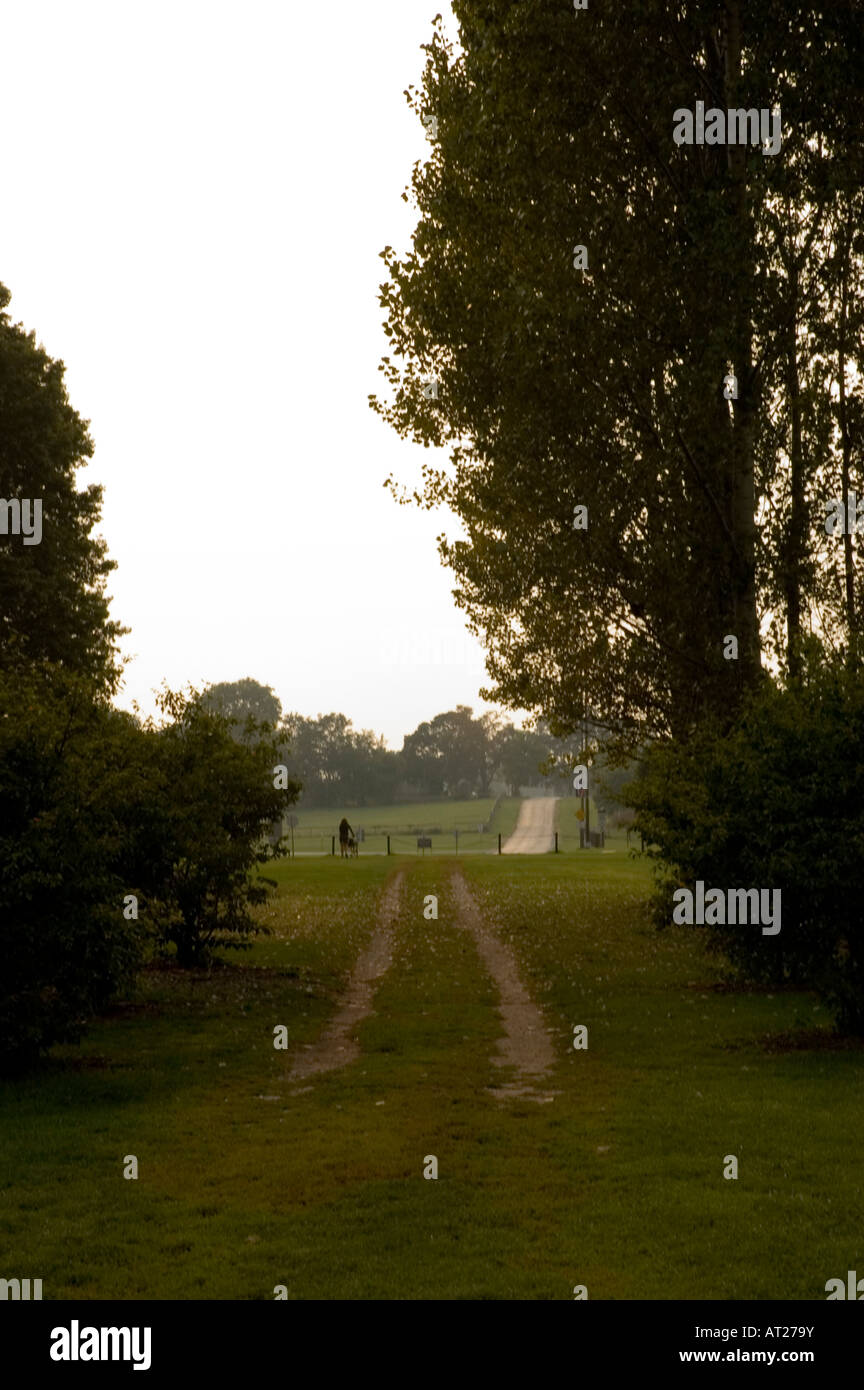 Taken at the Arboretum garden in Champaign IL Stock Photo - Alamy