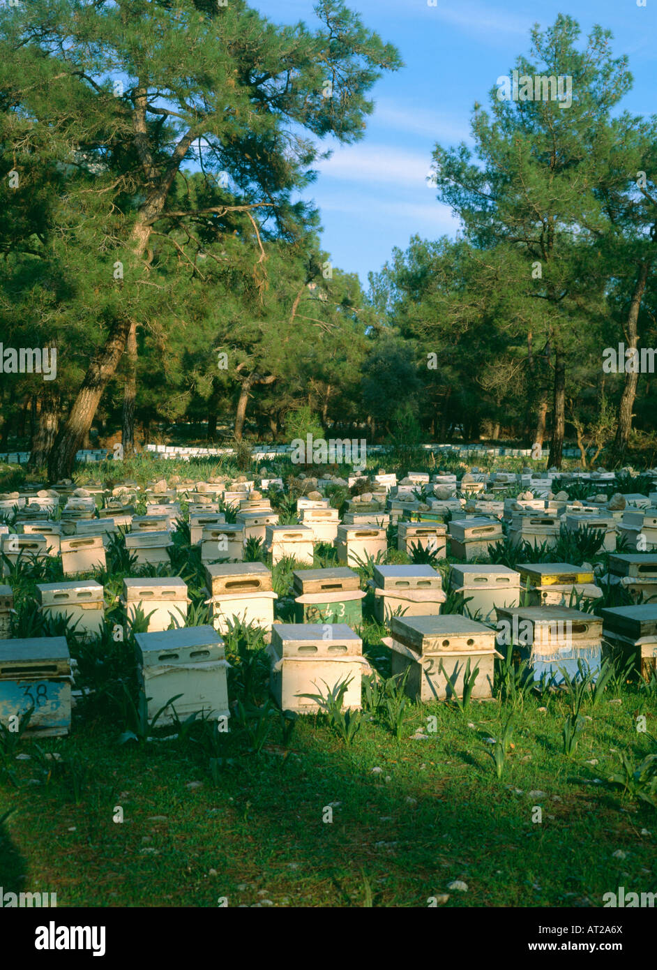 Terracotta and stone burial boxes Stock Photo