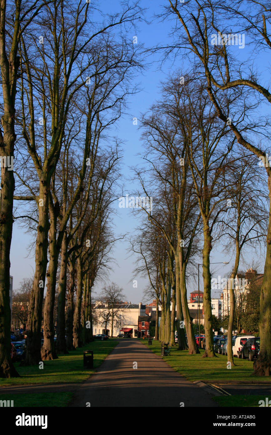 royal leamington spa Jephson Gardens town centre the parade