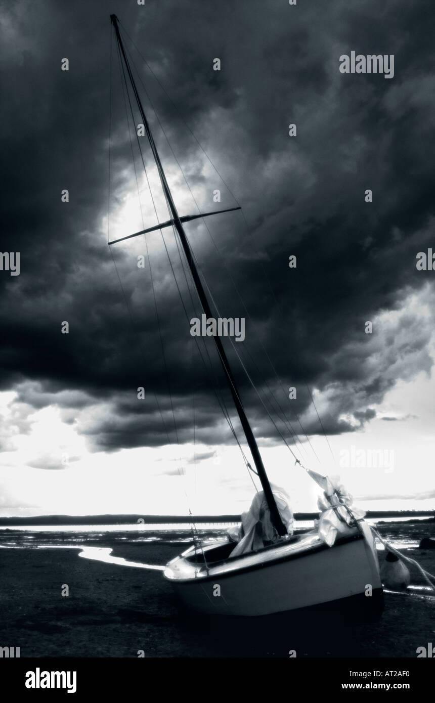 boat in low tide St John New Brunswick Canada Stock Photo Alamy