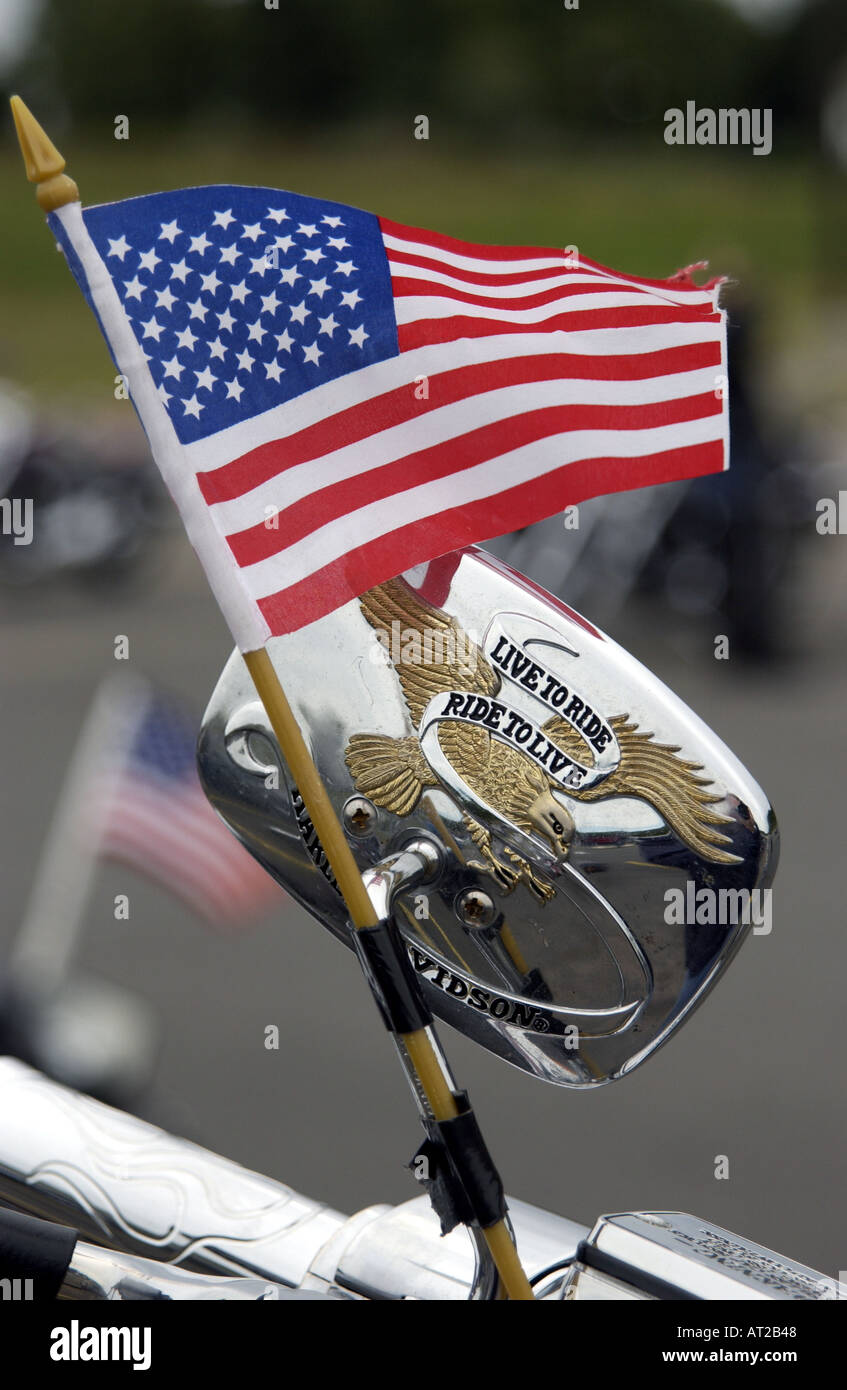 Studio 7036 - Harley Davidson American Flag Eagle - L - View #9