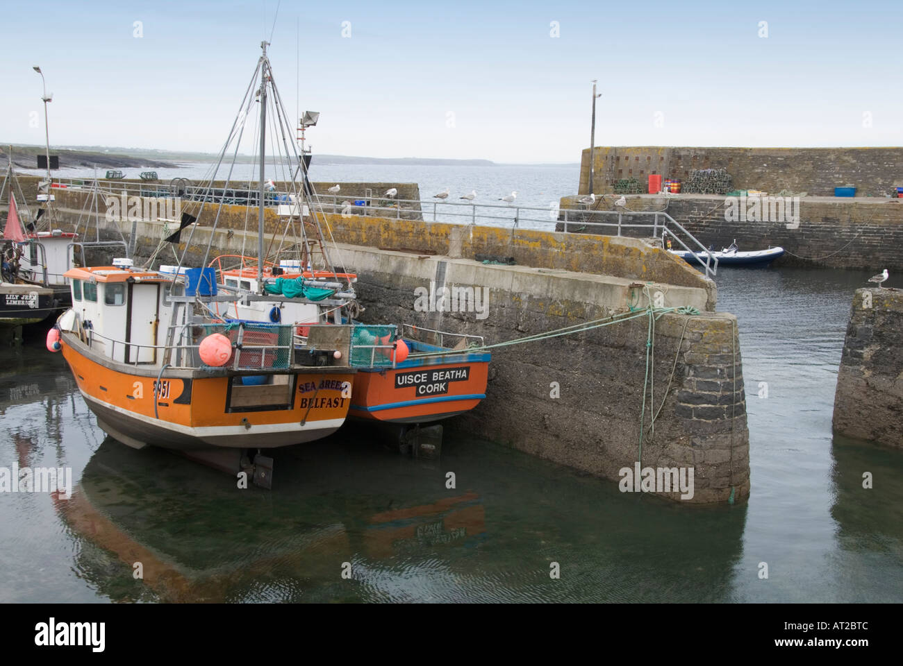 Ireland County Wexford Hook Head Peninsula Slade Village harbour