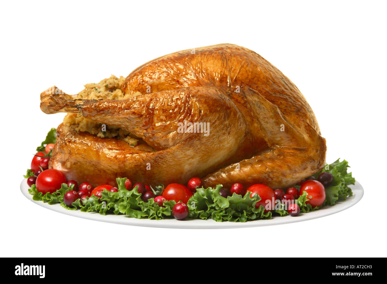 Turkey on Platter with Garnish Stock Photo - Alamy