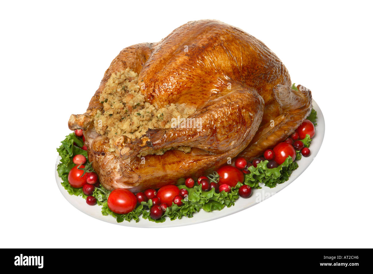 Turkey out Cut Out Stock Images Pictures Alamy