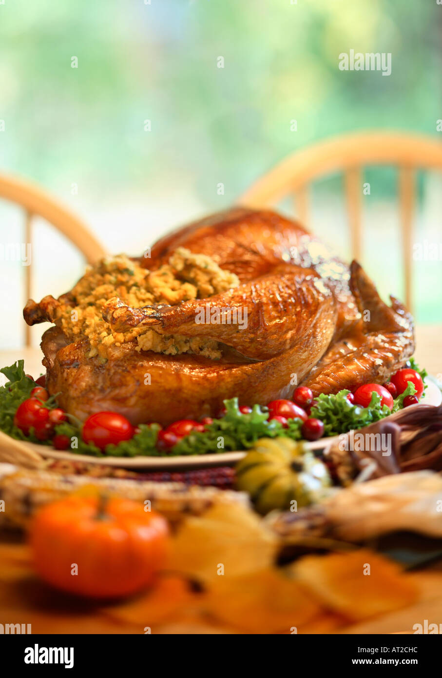 Thanksgiving gratefulness pictures