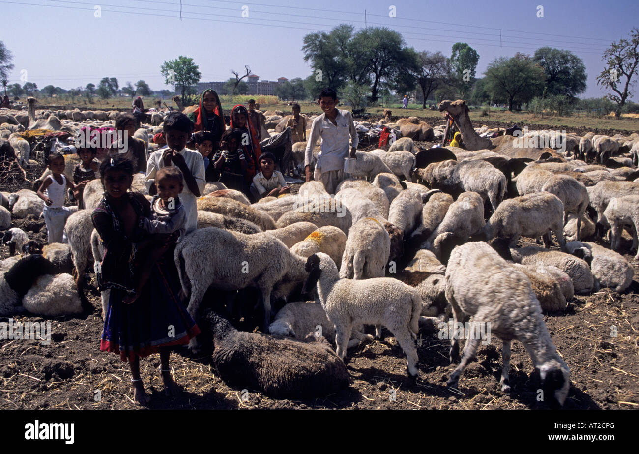 Tribes of India Nomadic Gujjar Tribe Madhya Pradesh Attending Sheep