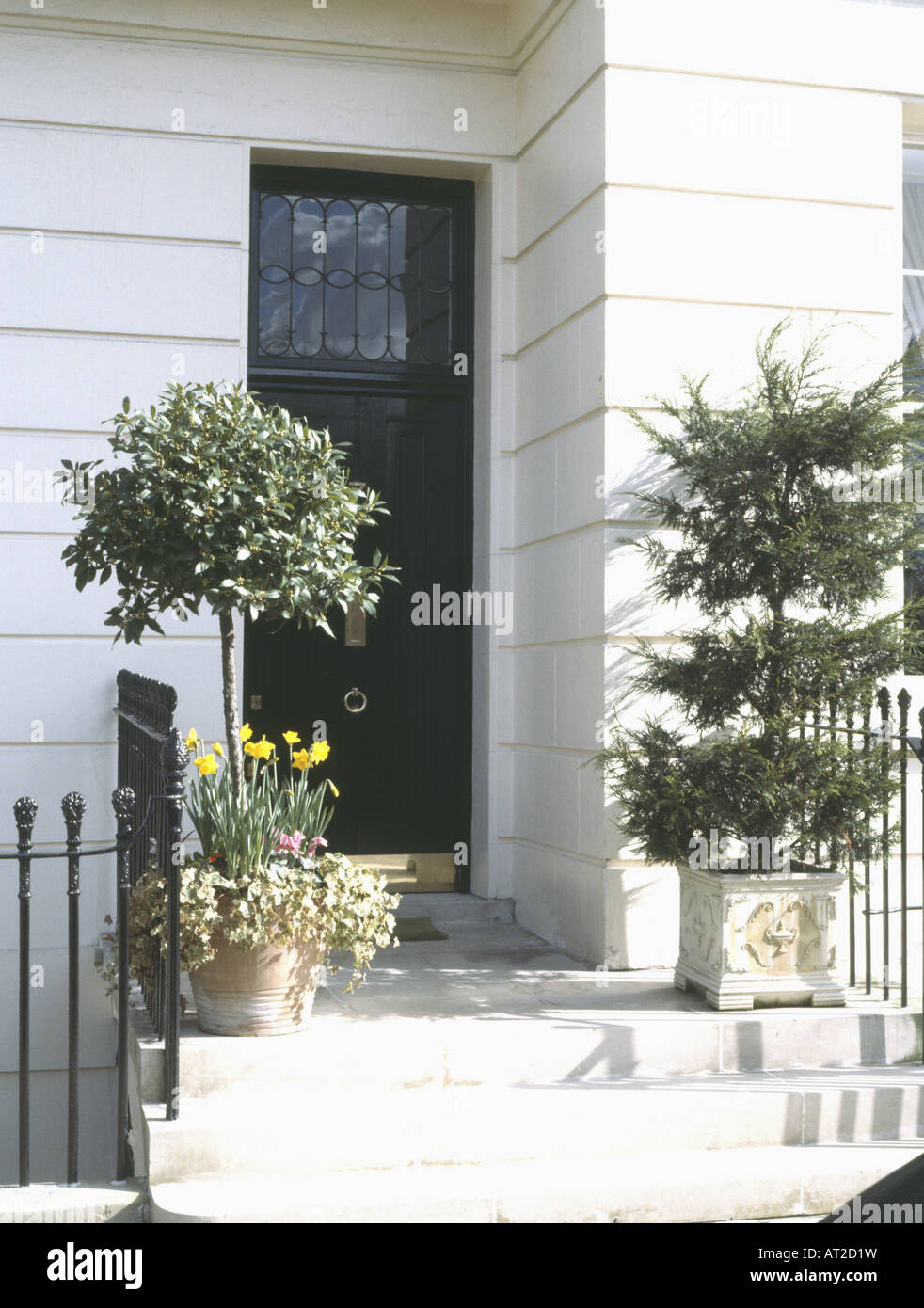 Bay tree and conifer in pots on either side of black front door Stock