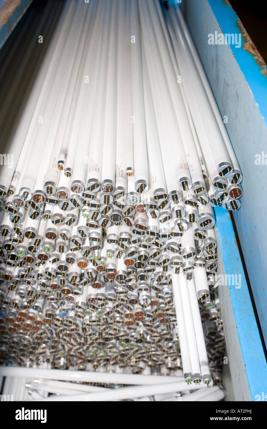 Fluorescent lamp for recycling in a container Stock Photo Alamy