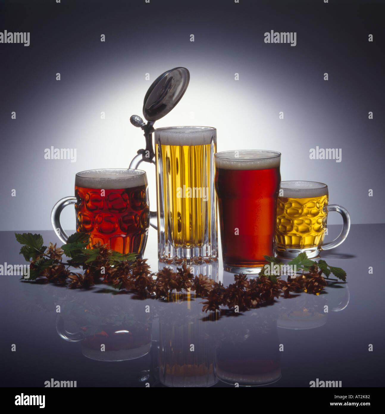 Studio photograph of beer and larger glasses with hops Stock Photo