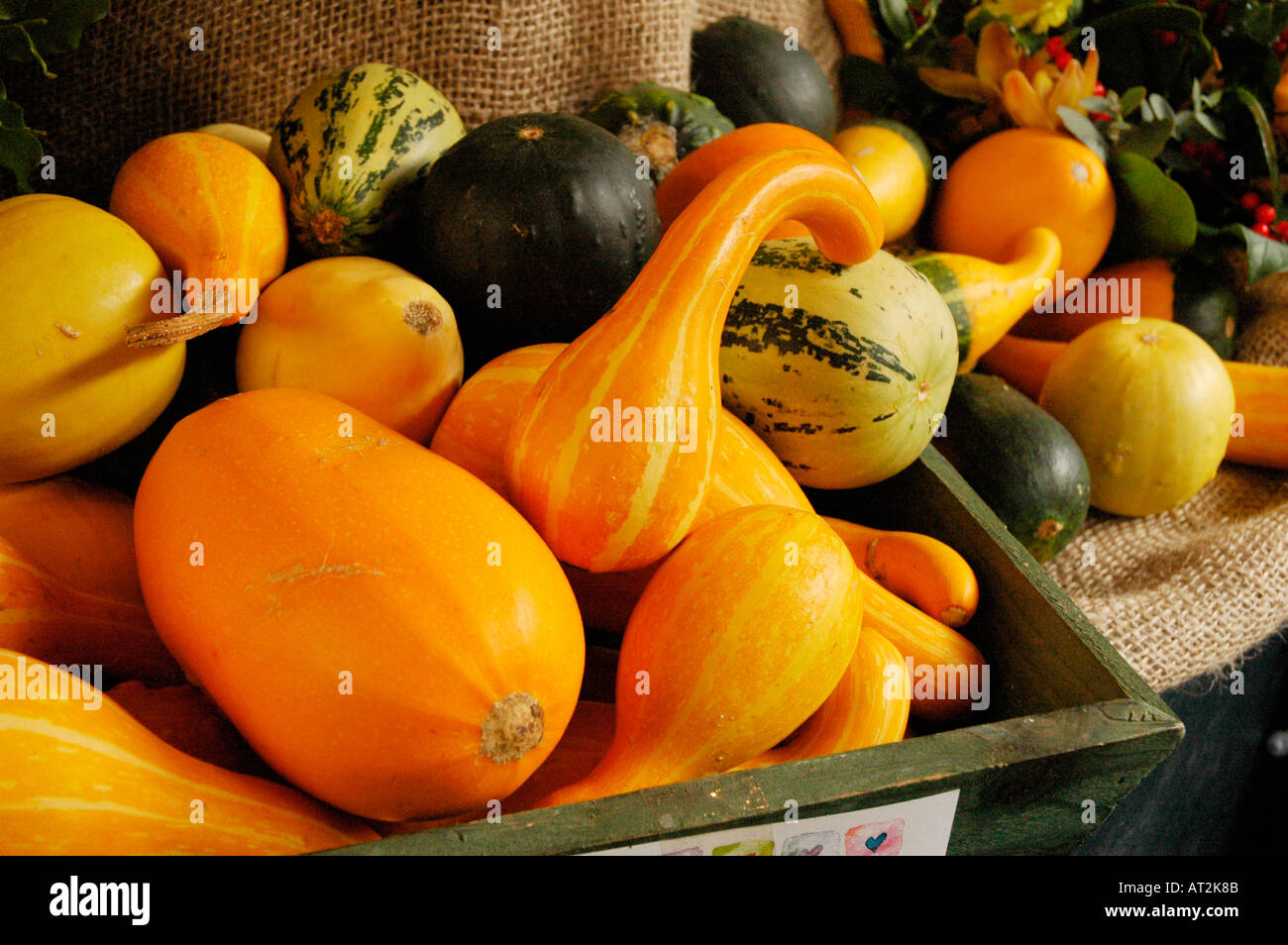 Dark green mottle hires stock photography and images Alamy
