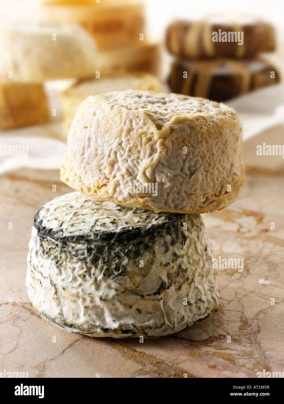 Farm goats cheese from Normandy in a cheese shop setting Stock Photo