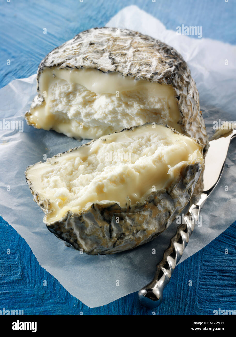 Farm goats cheese from Normandy Stock Photo