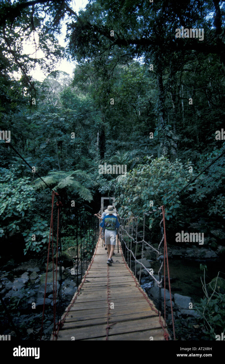 Hikers crossing a suspension bridge in the El Macho Ecological Reserve, El Valle de Anton, Panama, Central America Stock Photo