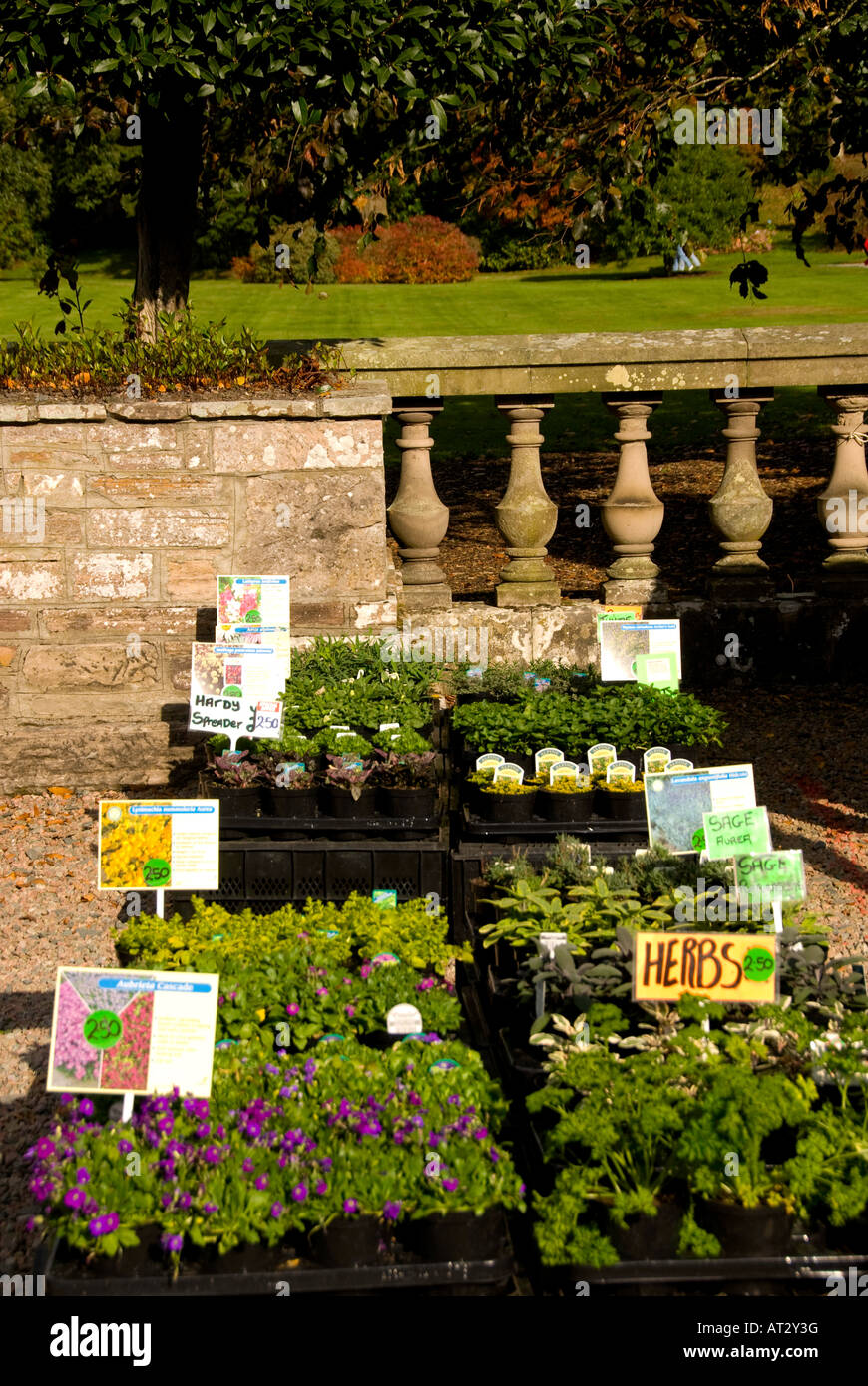 Northern Ireland Mount Stewart House and Gardens Temple of the Winds Stock Photo