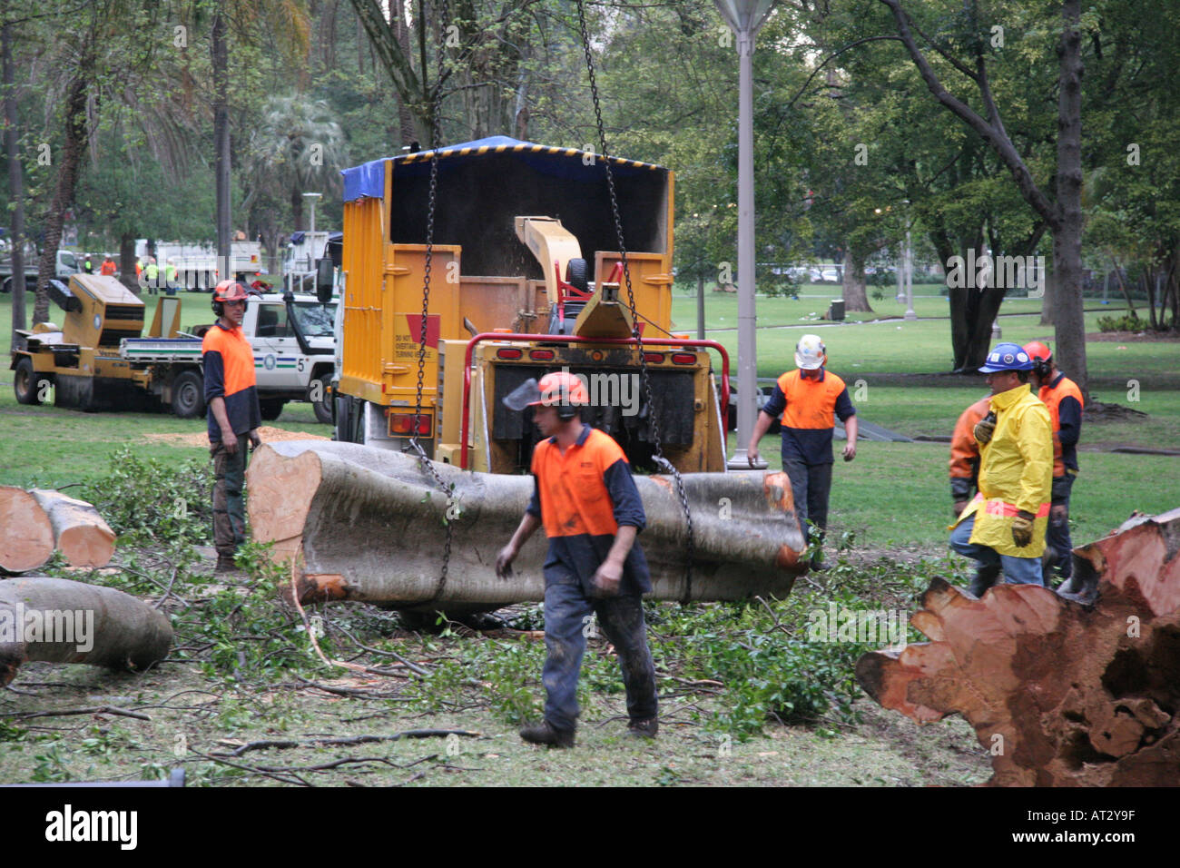 Tree felling truck removing log Stock Photo - Alamy