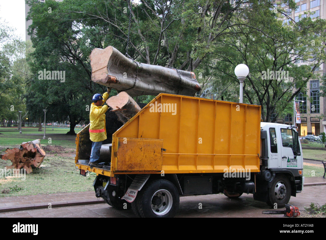 Truck removing log Stock Photo - Alamy