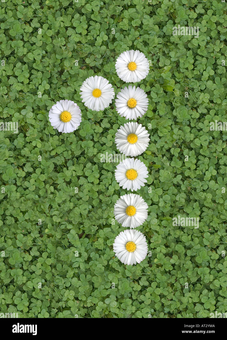 Fe letters hi-res stock photography and images - Alamy