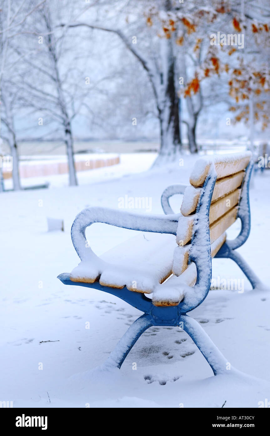 Winter bench covered with snow in an empty park Beach area Toronto ...