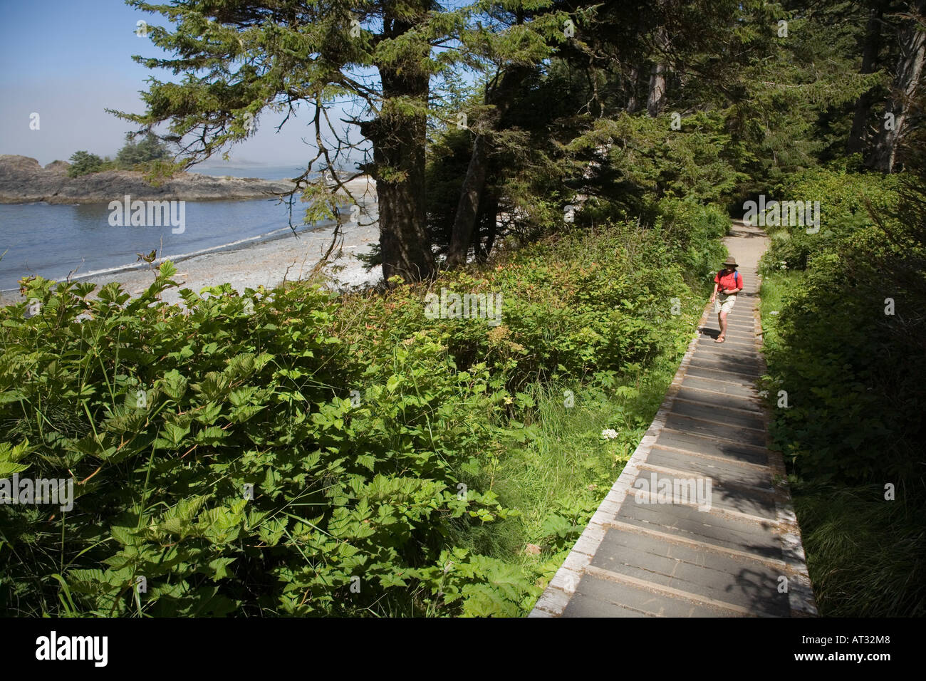 Female walking on the South Beach trail Pacific Rim national park ...