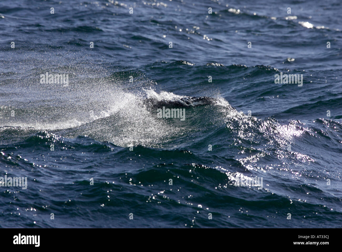 Waves in the South Atlantic Stock Photo