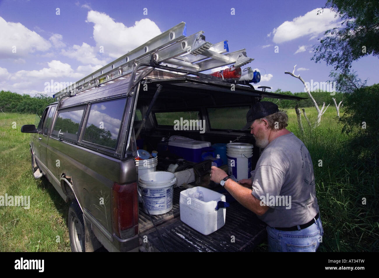 Wildlife biologist banding and conducting research on Pygmy Owl using