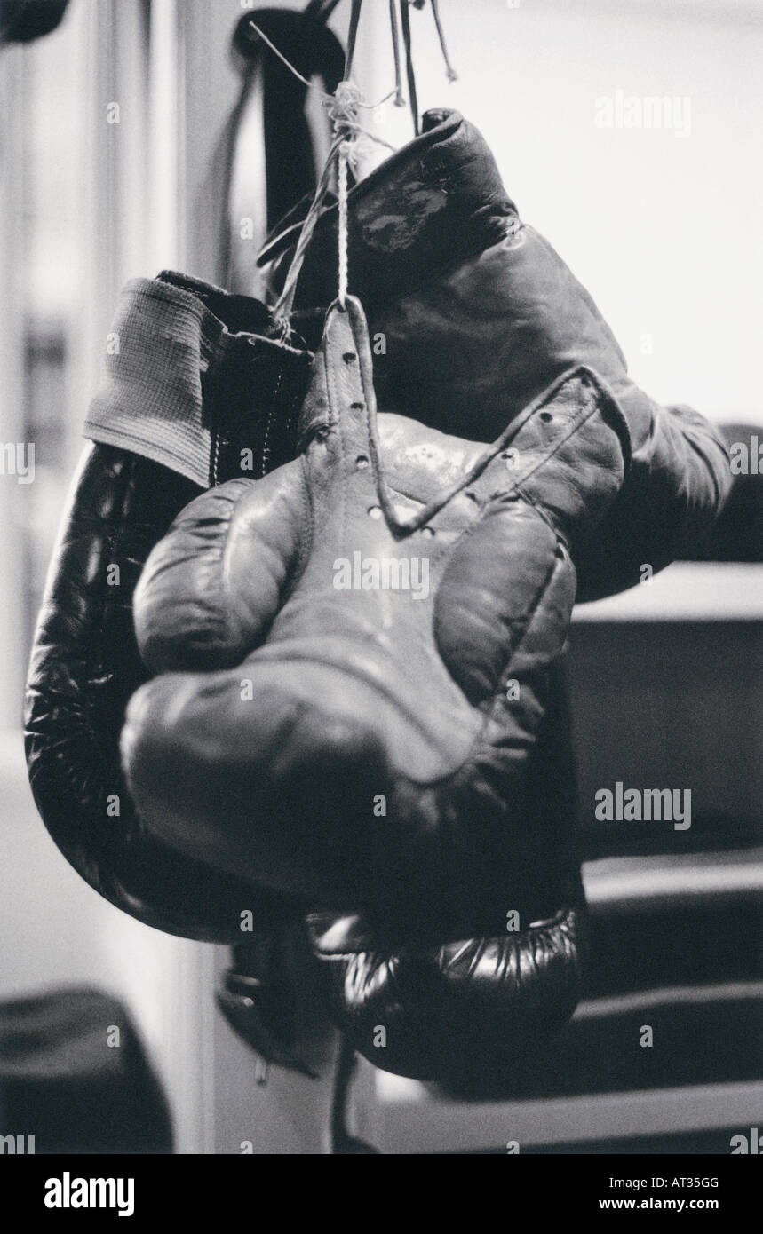 Boxing gloves hanging up Stock Photo Alamy