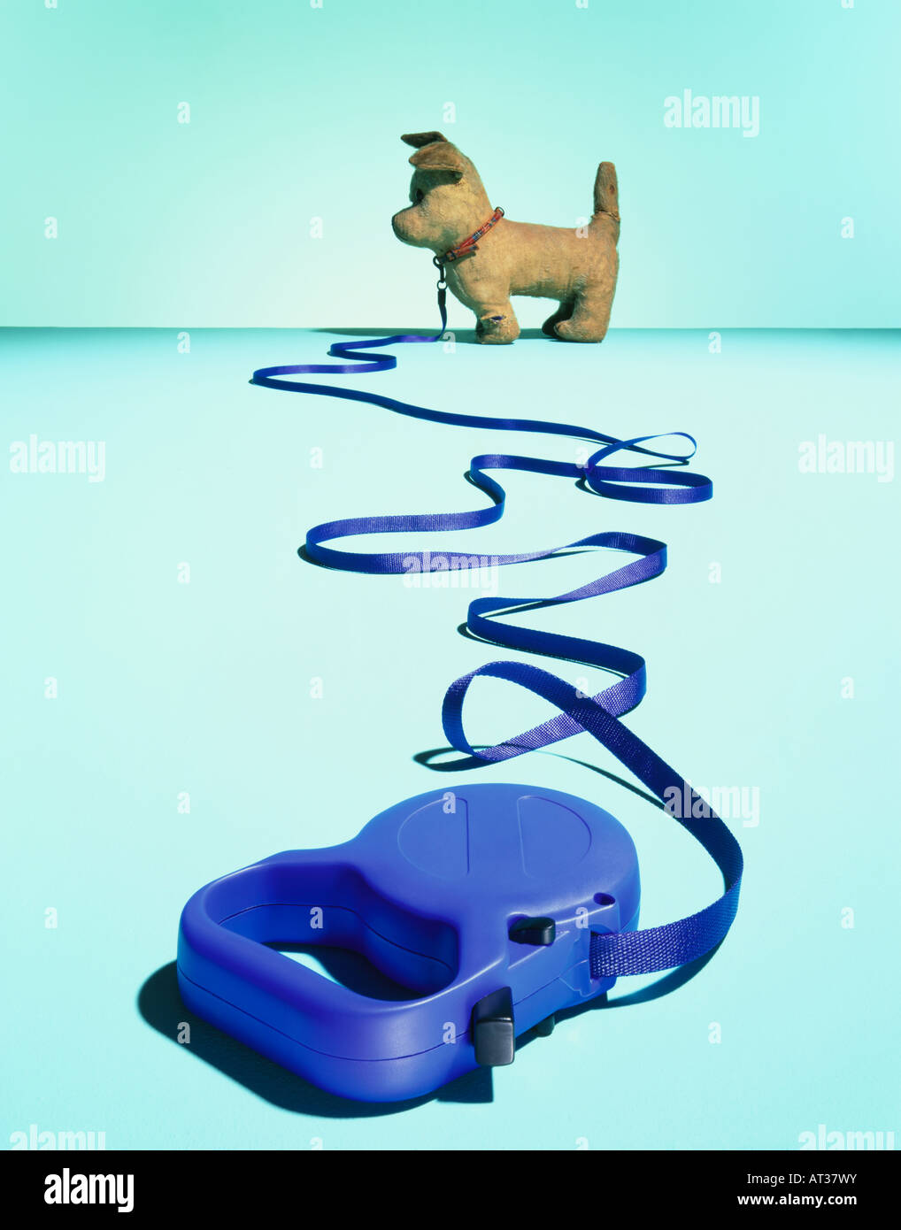 A toy dog on a lead Stock Photo Alamy