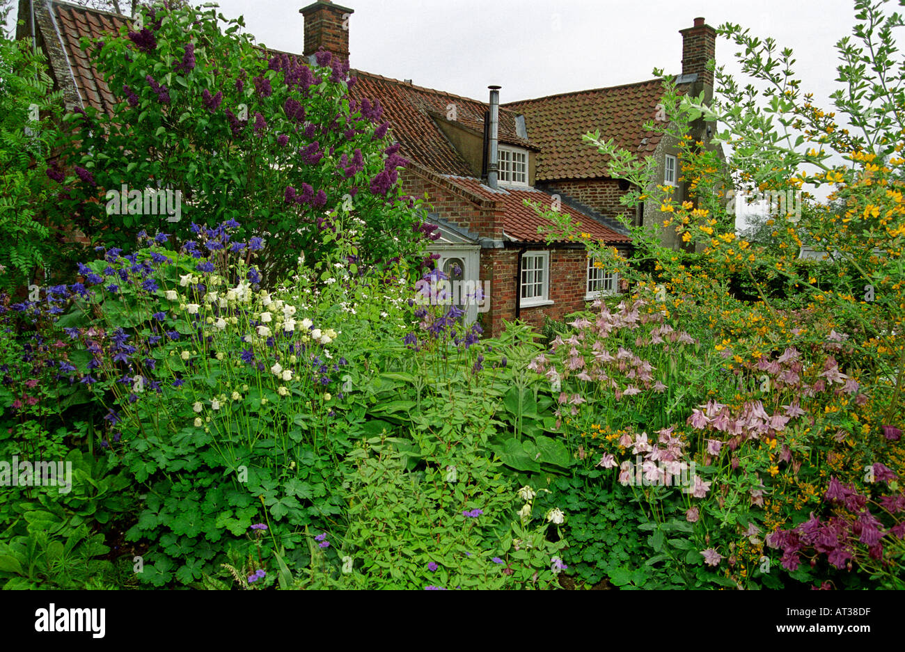 English Cottage garden Stock Photo - Alamy